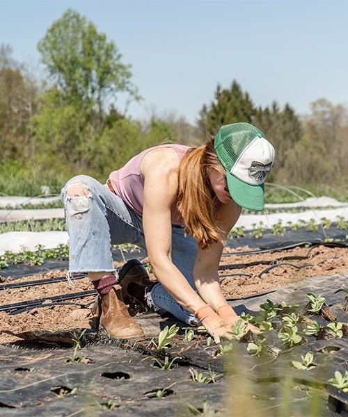 Benefits Illustration